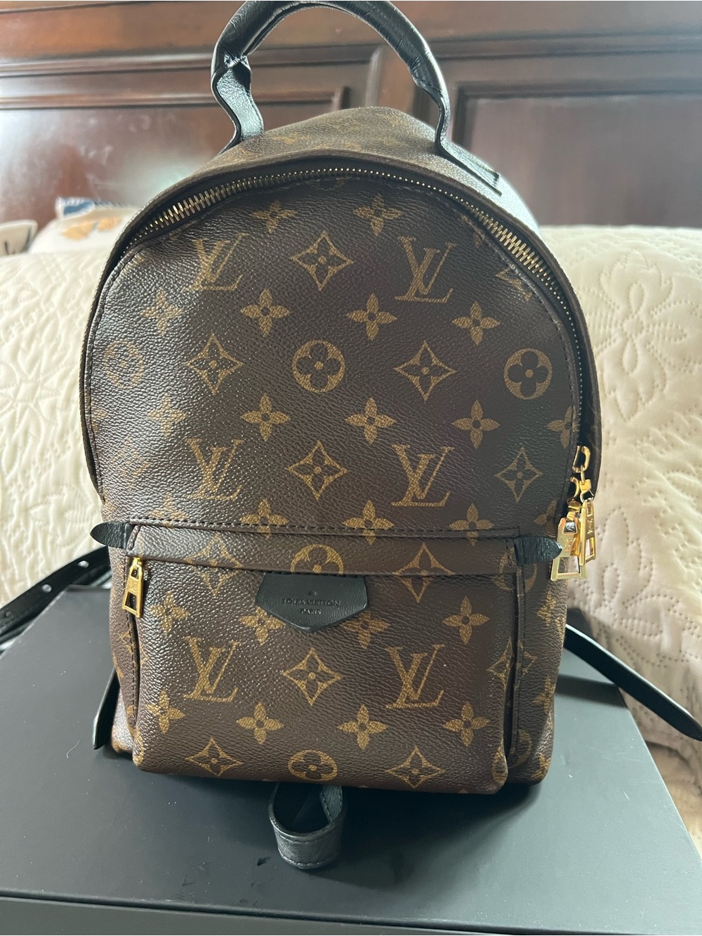 Louis Vuitton Monogram Palm Springs PM Backpack